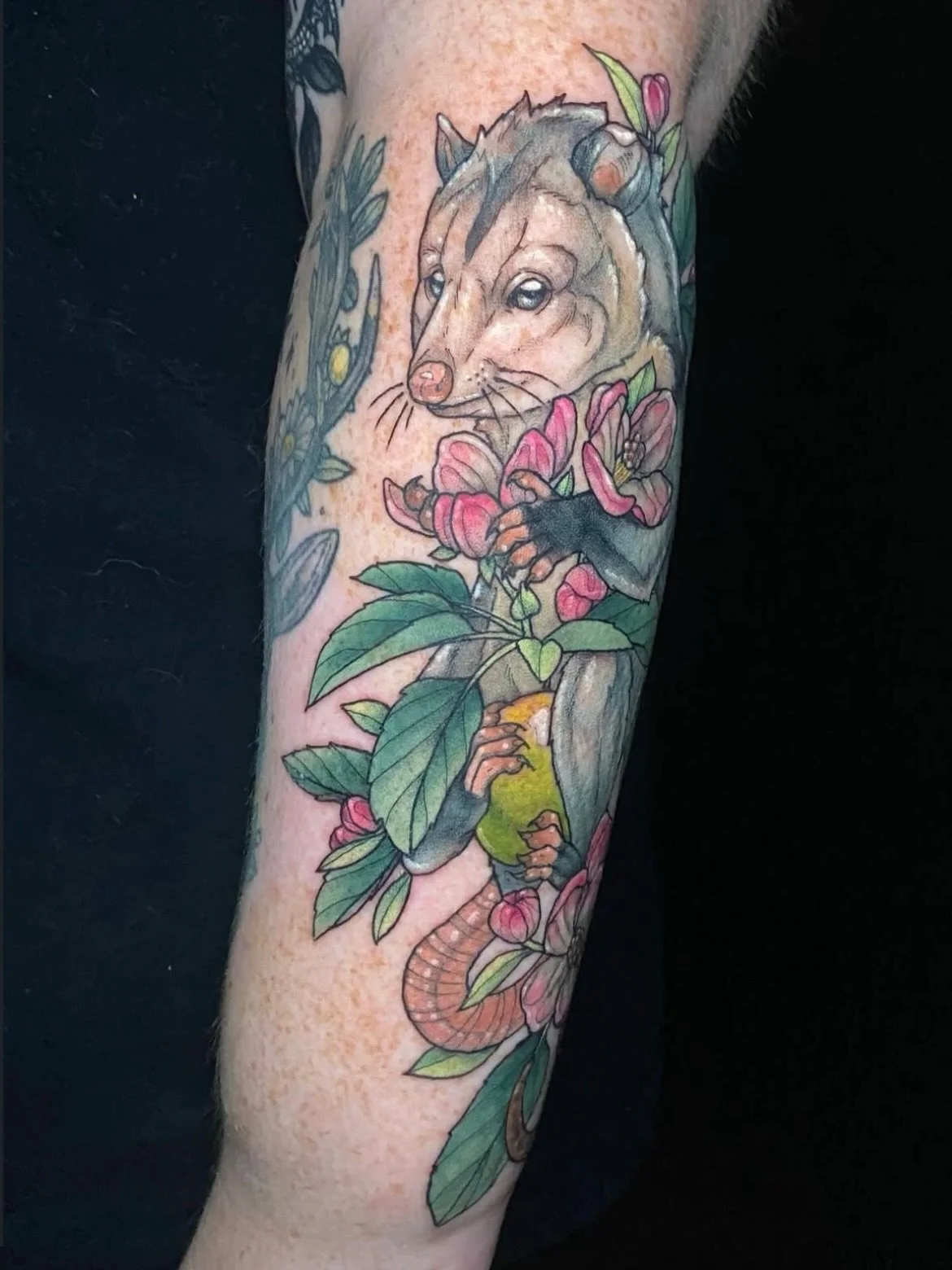 Such a sweet opossum 🌸 by @dawncarrtattoos 
.
.
#opossumtattoo #animaltattoo #colortattoo #floraltattoo