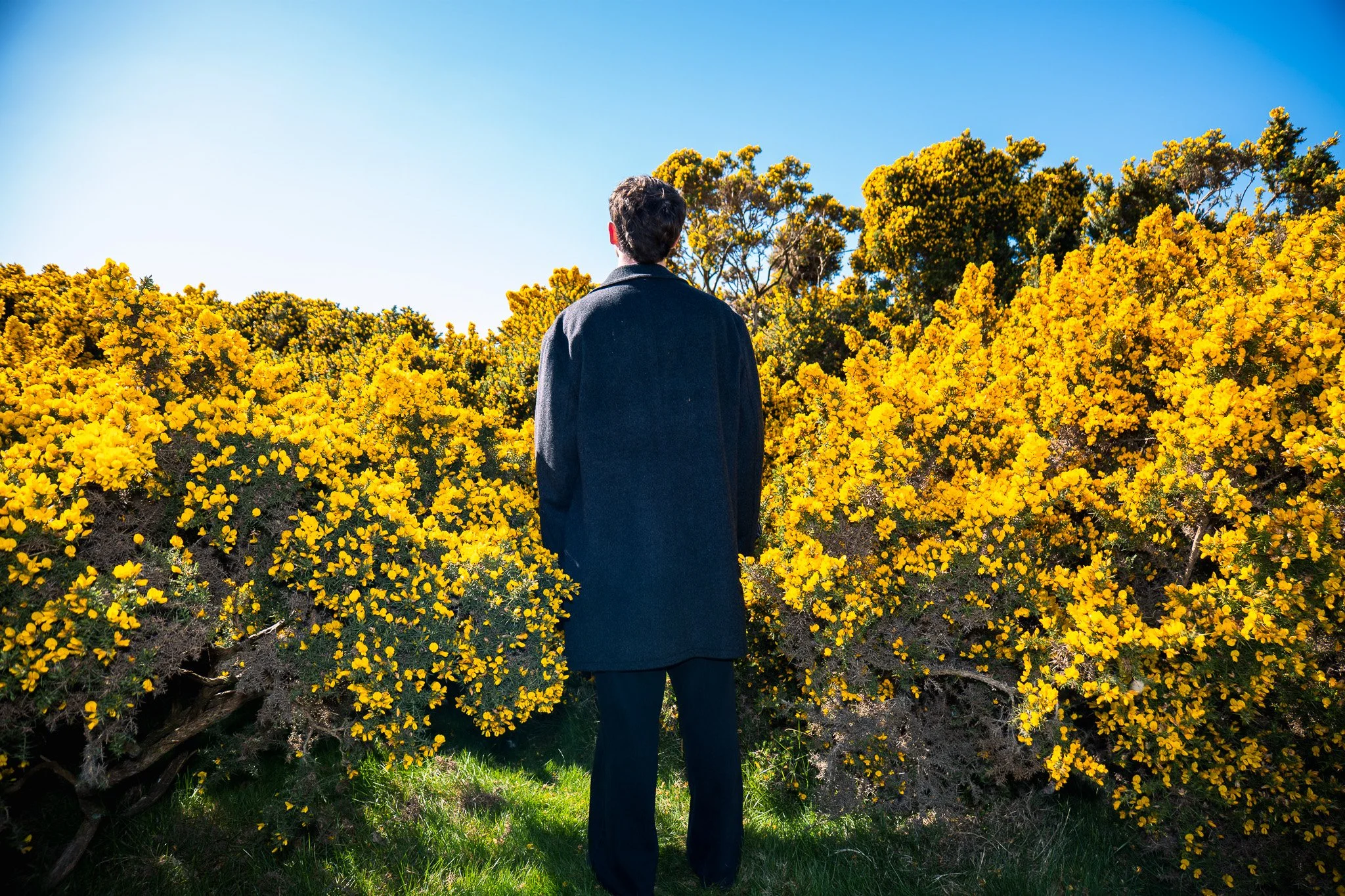 Image by Fearghal O'Mahoney + Ewan McGrath.