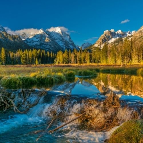 Idaho