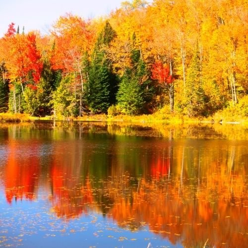 Vermont
