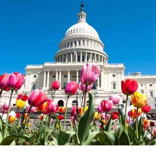 Washington DC