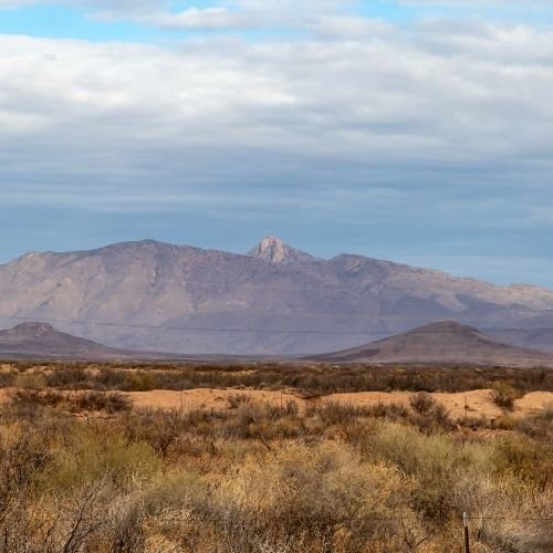 New Mexico