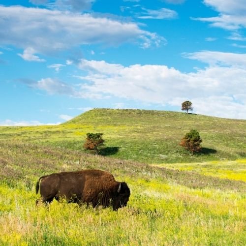 South Dakota
