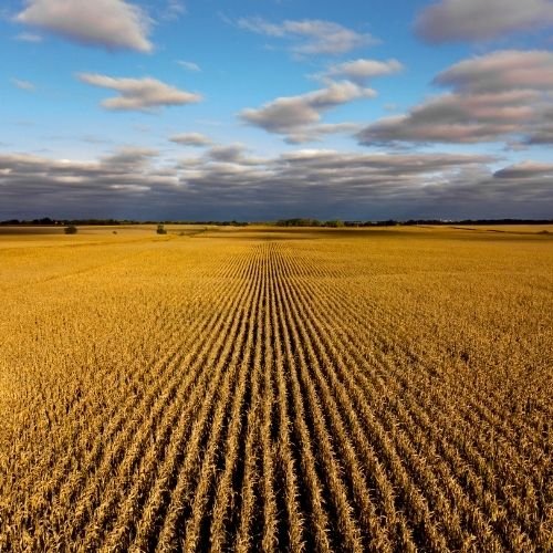 Iowa