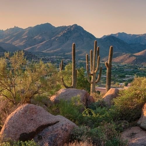 Arizona