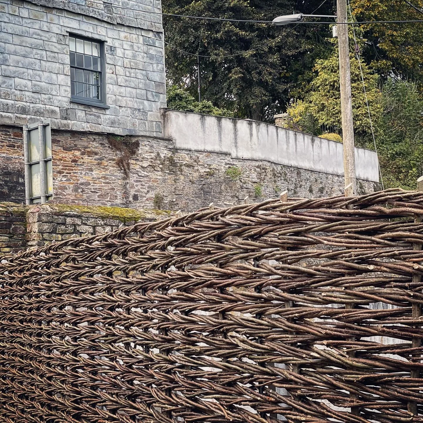 A ride to Somerset yesterday, to the hazel coppice. These woodlands are such a precious asset in our countryside. The one I visited to collect stakes &amp; binding rods for the hedgelaying courses is young, planted at the turn of the millennium it is