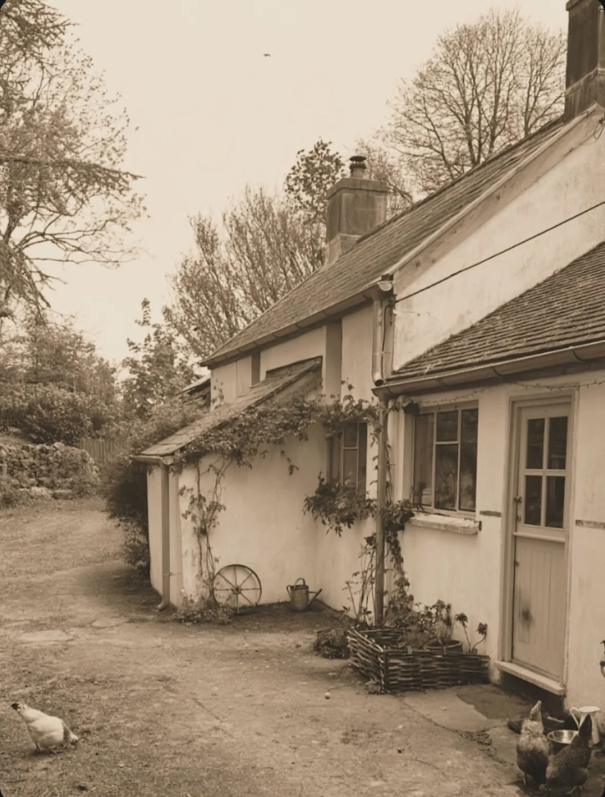 Cliff Cottage has sat here for over three hundred years, on a plateau cut into the limestone cliffs on Gower. The ground drops away on its eastern flank and marks the boundary of the property, which consists of seven acres in total. Made up of hedger