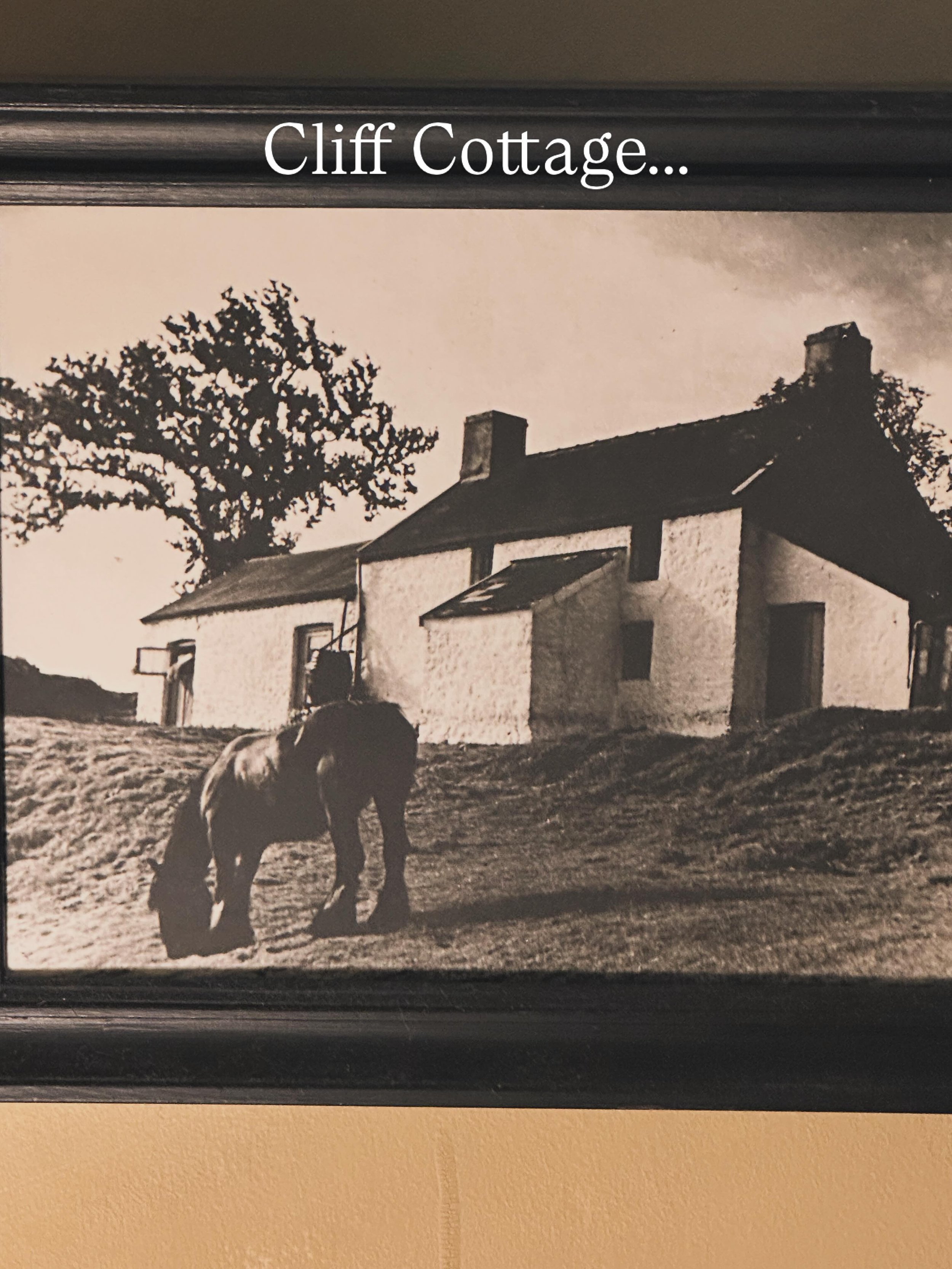 I have lived here now for a little over 12 months, at Cliff Cottage. Gradually our vision for the land here is coming together..The pole barn is all but finished, hedges are laid and rejuvenating well, the garden is producing the first salad leaves..