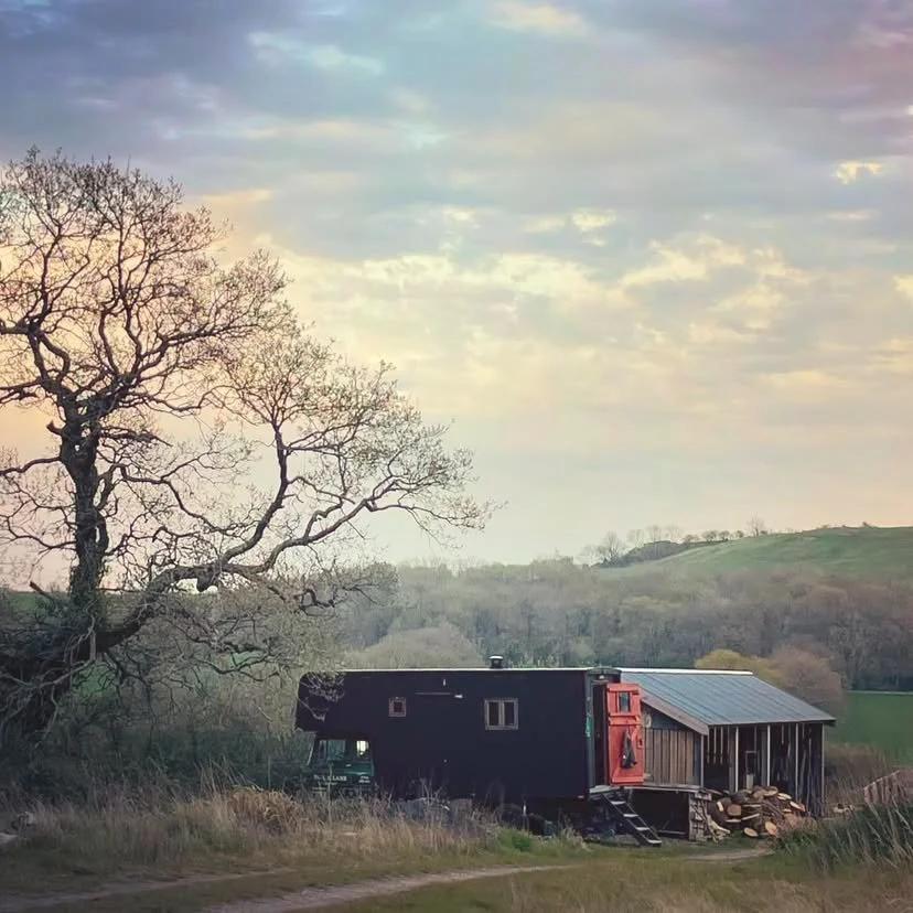Wagon parked below oak tree