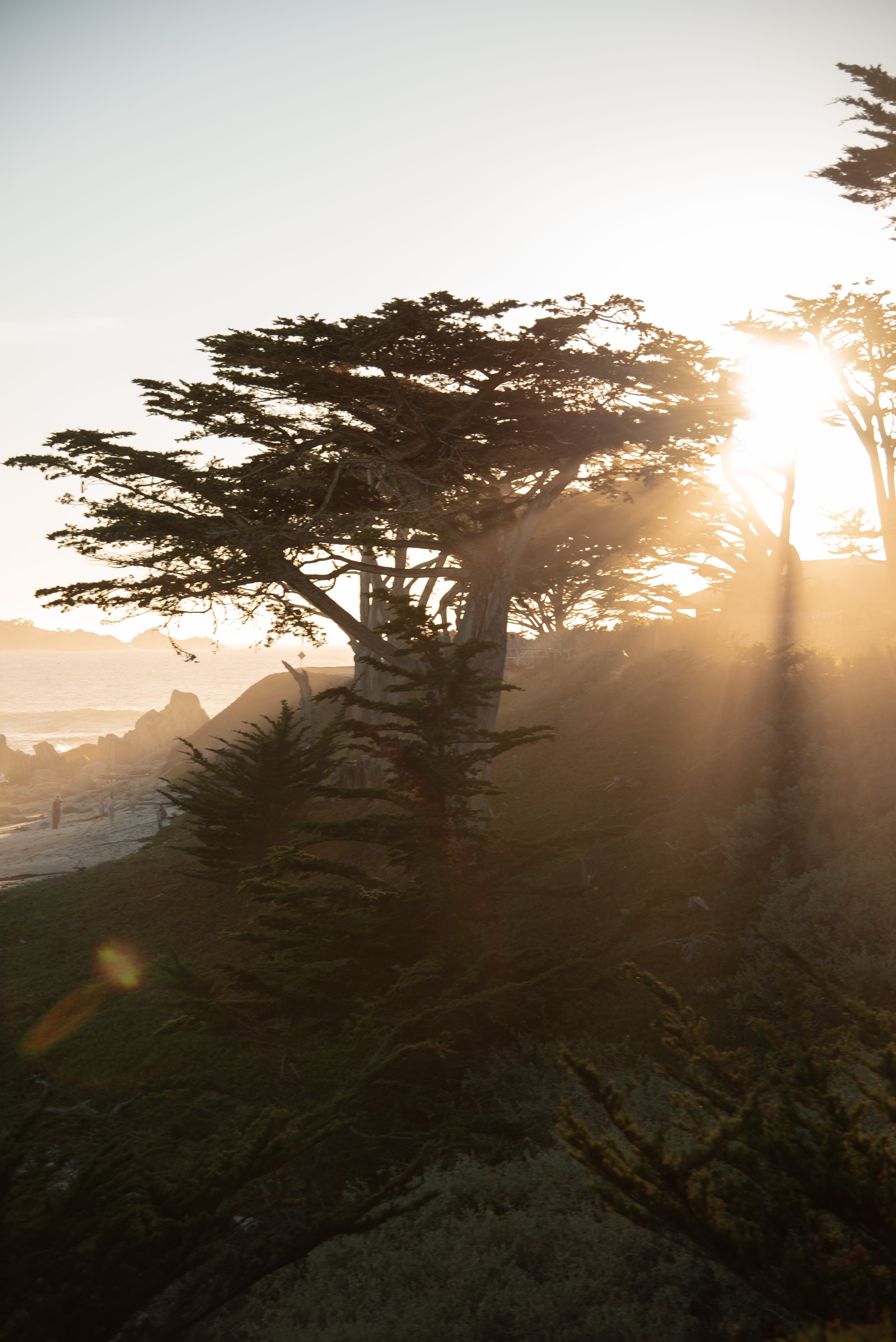 Big Sur Nov 2025_32.jpg