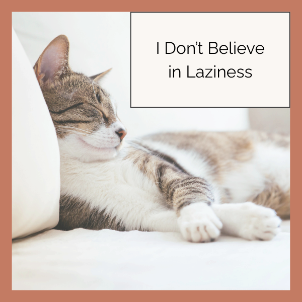 I Don’t Believe in Laziness