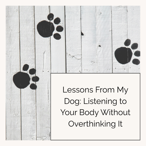 Lessons from My Dog: Listening to Your Body Without Overthinking It