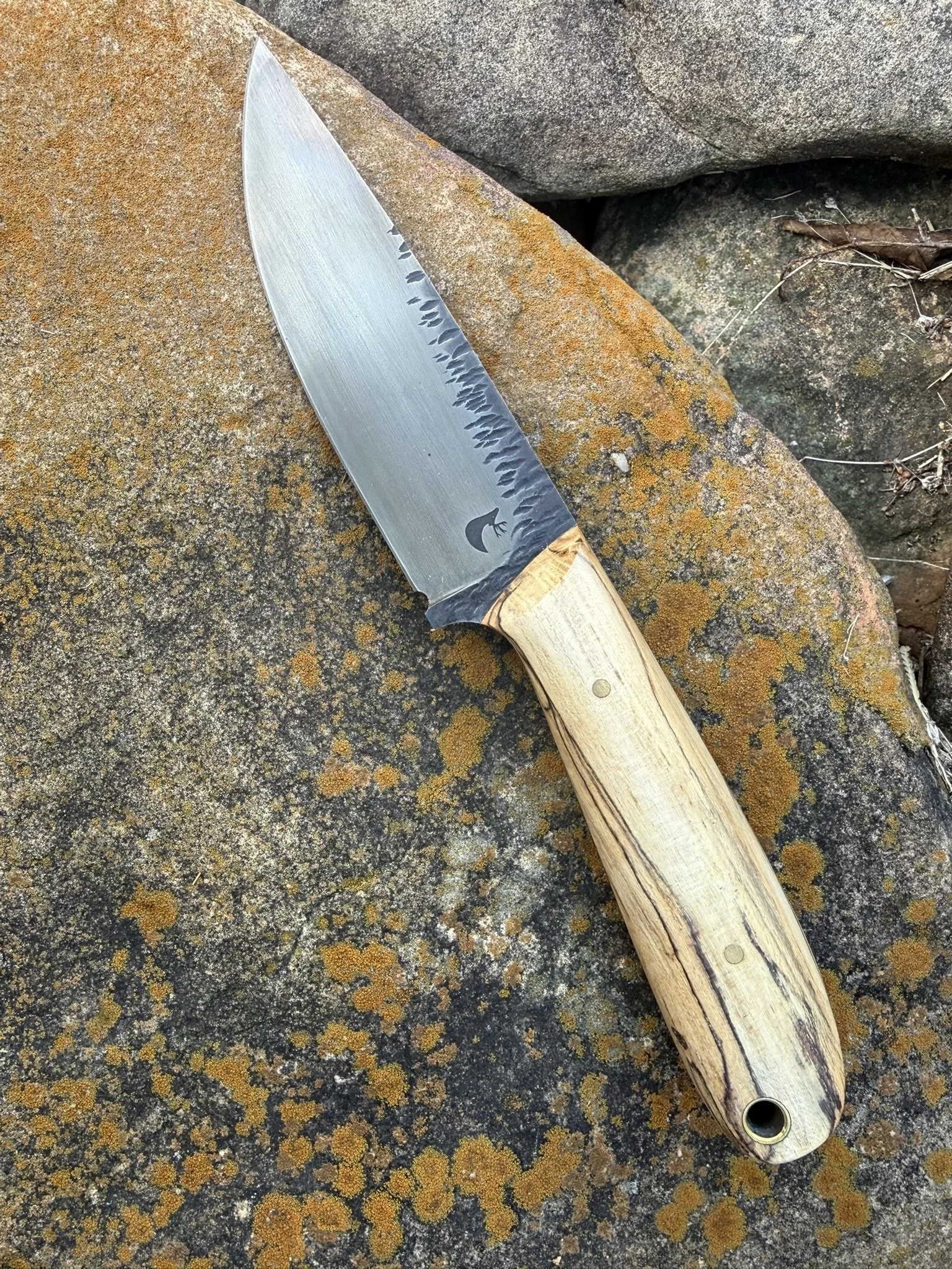 Spalted Hackberry Longhunter