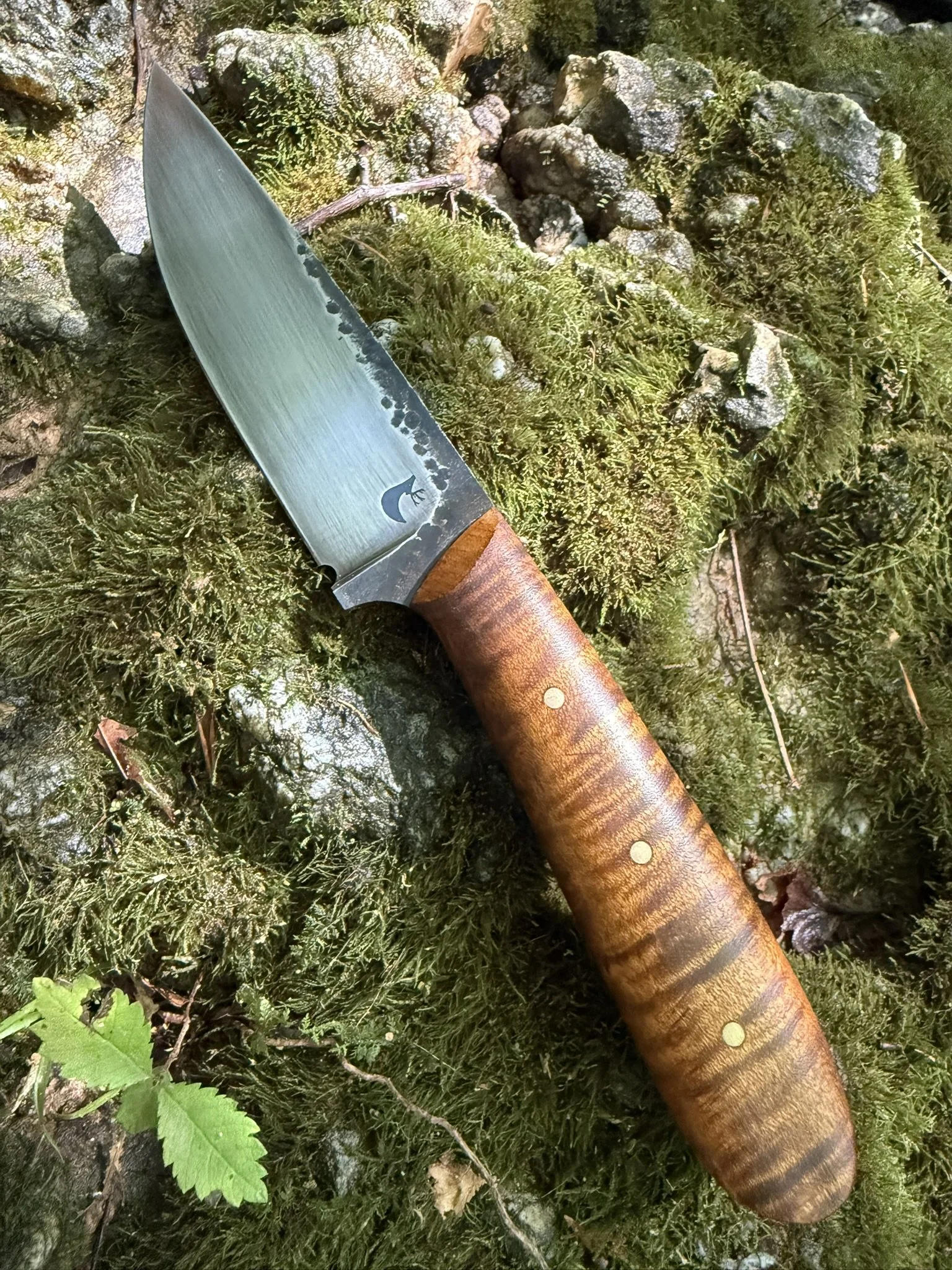 Curly Maple Longhunter