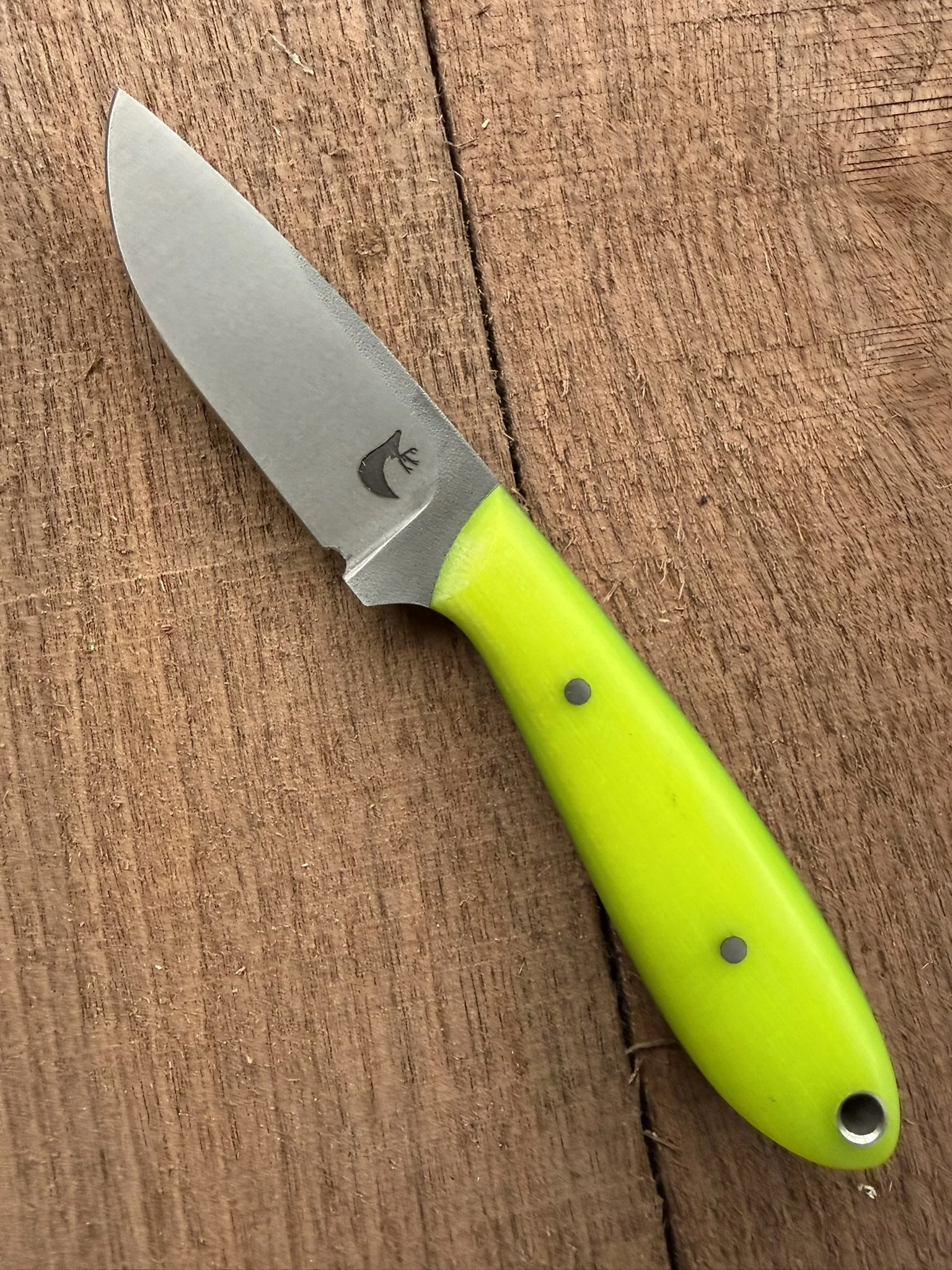 Dayglo  EDC