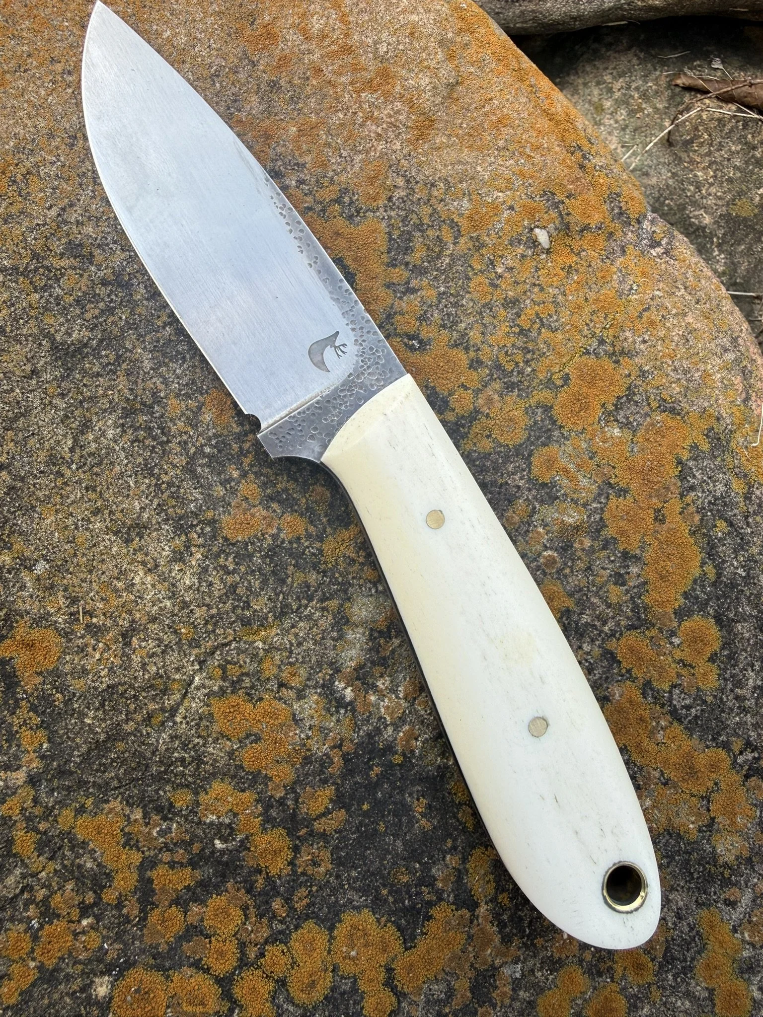 Natural Bone Hunter