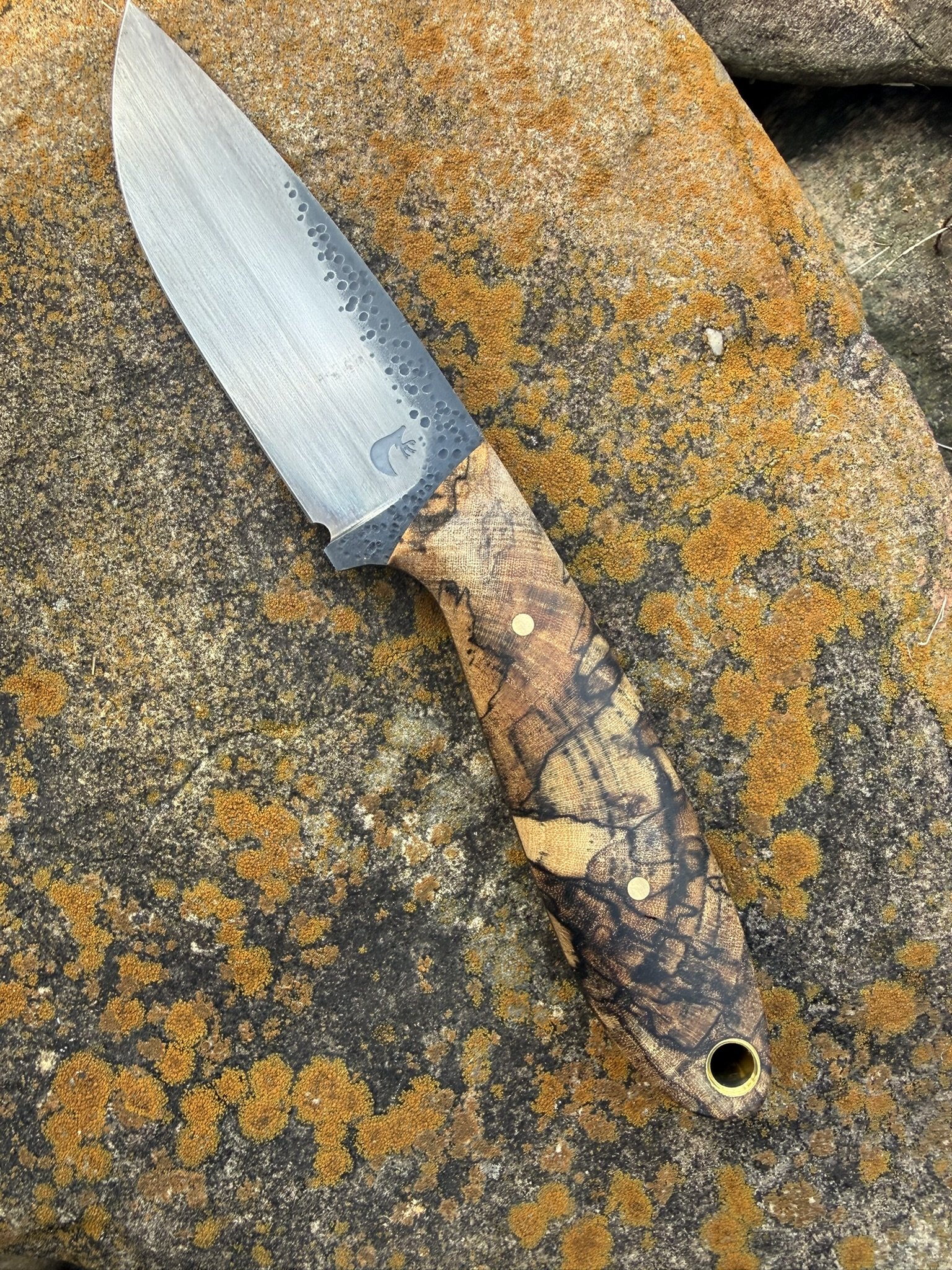 Spalted Hackberry Hunter