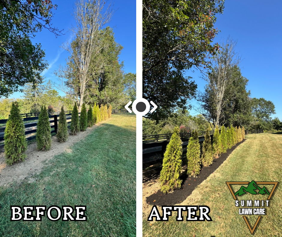 Copy of Simple Before and After LUT Slider Post Facebook Post.png