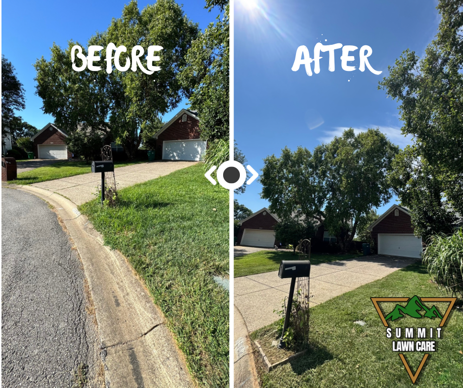 Simple Before and After LUT Slider Post Facebook Post.png