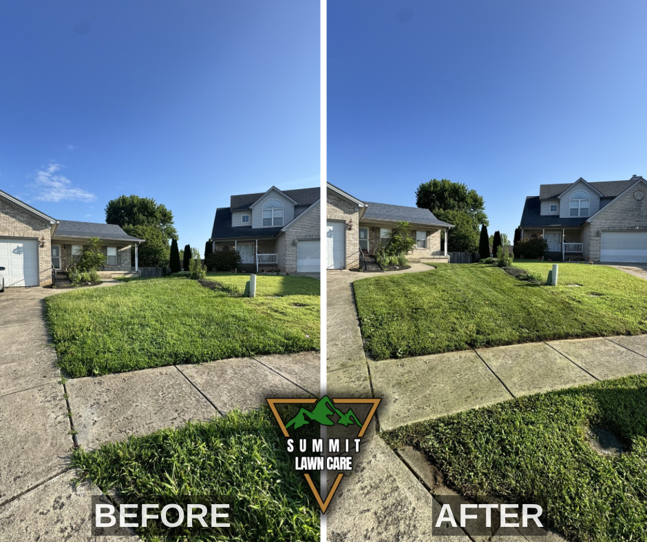 Before and After.png