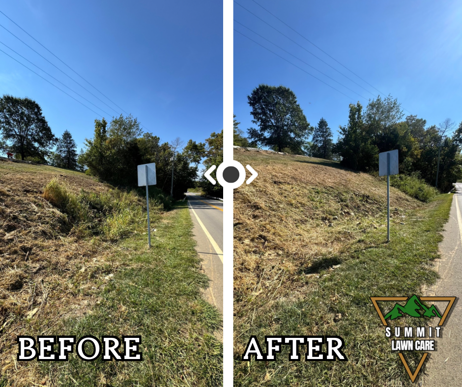 Copy of Simple Before and After LUT Slider Post Facebook Post.png