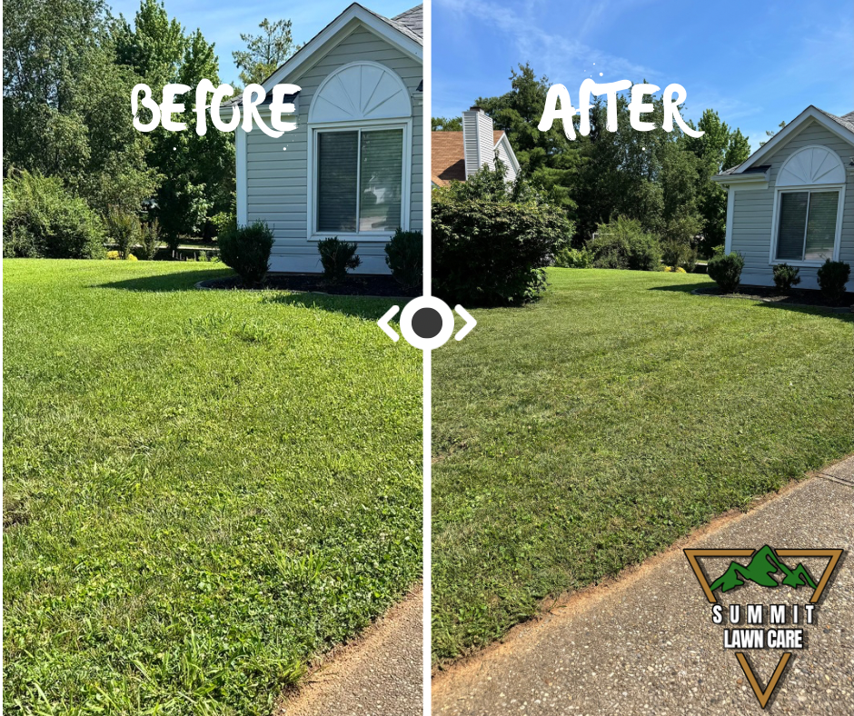 Simple Before and After LUT Slider Post Facebook Post.png