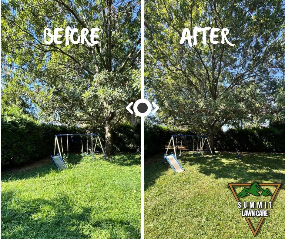 Simple Before and After LUT Slider Post Facebook Post.png