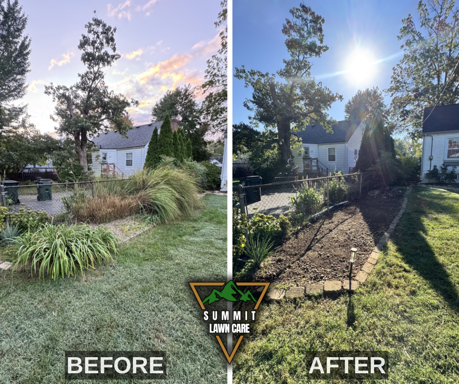 Before and After.png