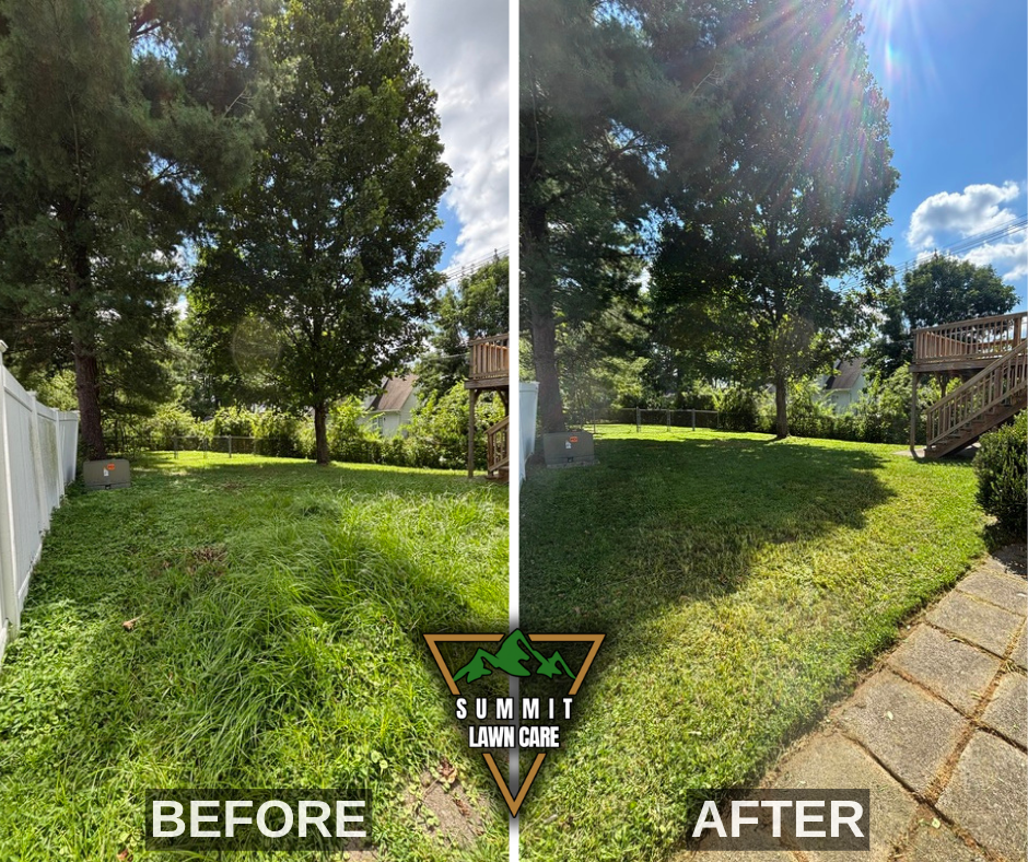Before and After.png