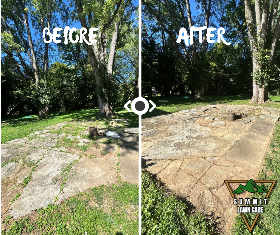 Simple Before and After LUT Slider Post Facebook Post.png