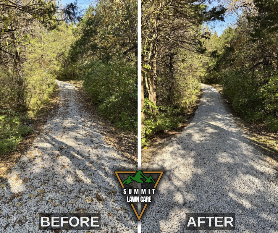 Before and After.png