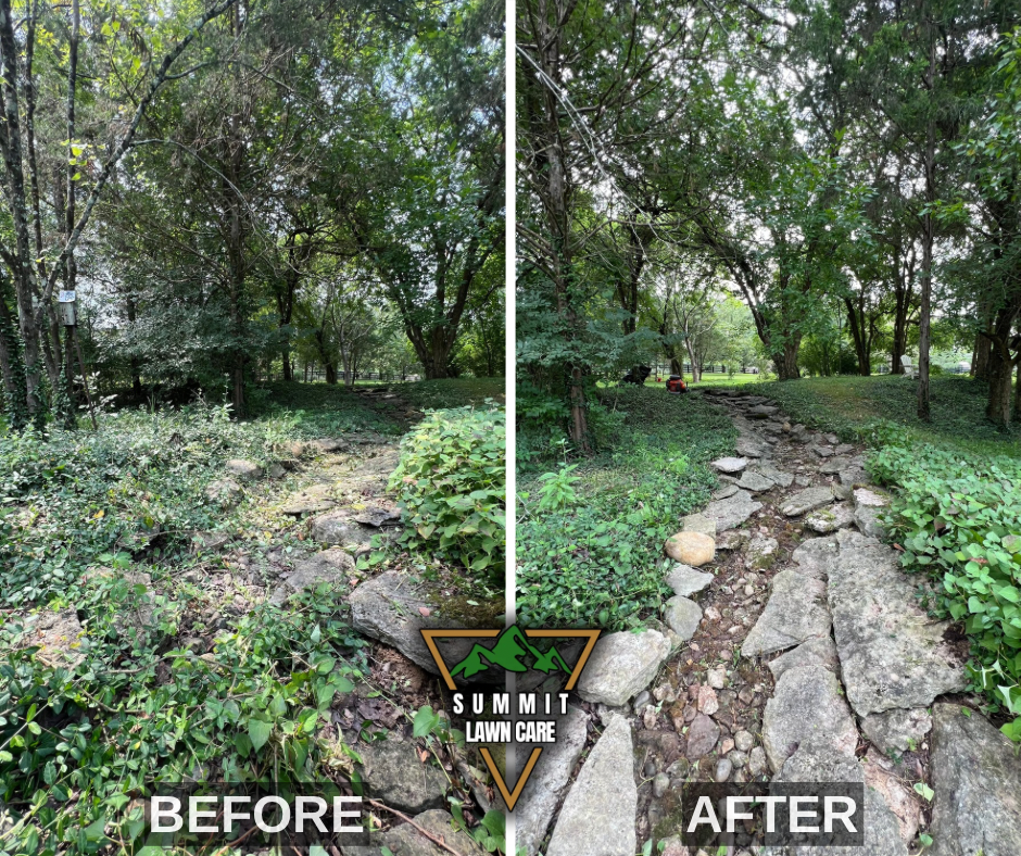 Before and After.png