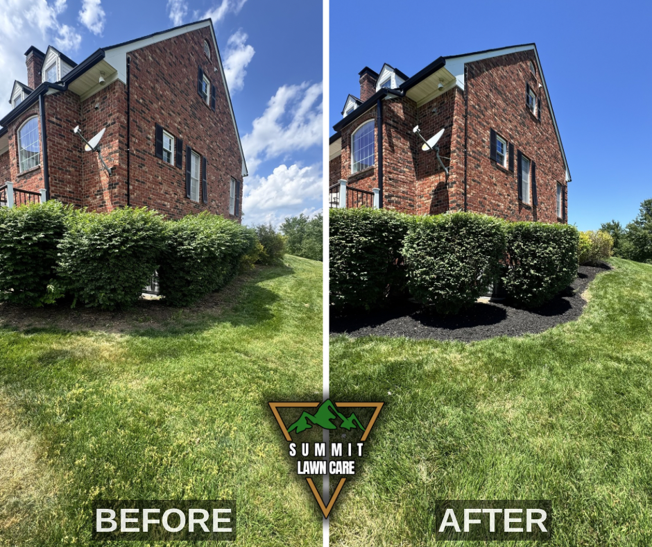 Before and After.png