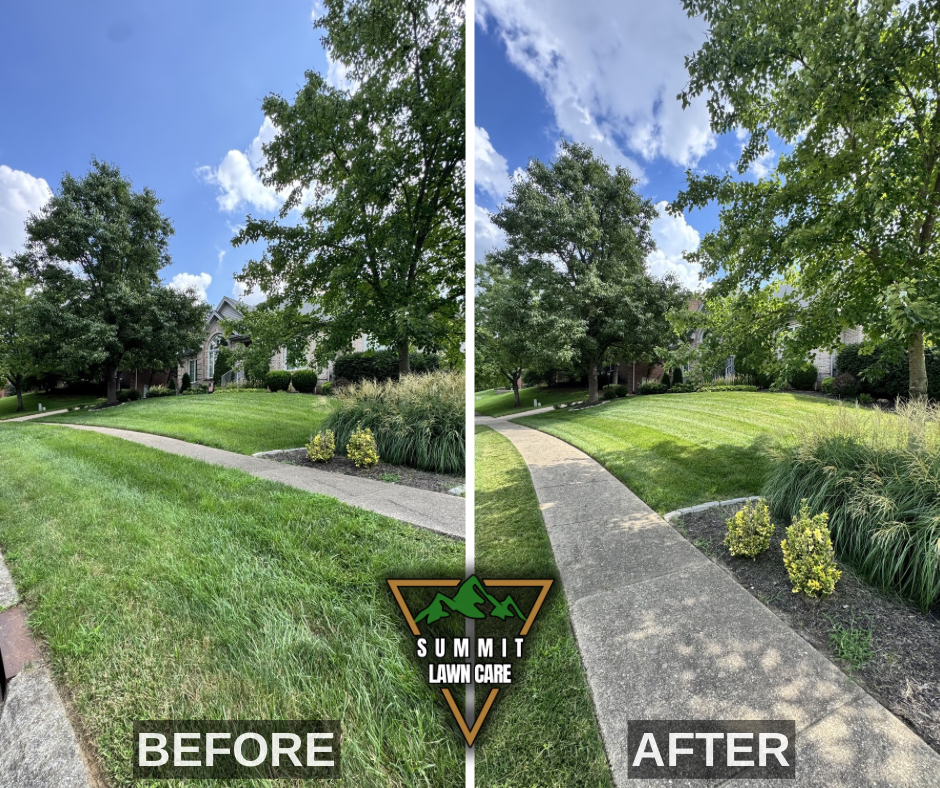 Before and After.png