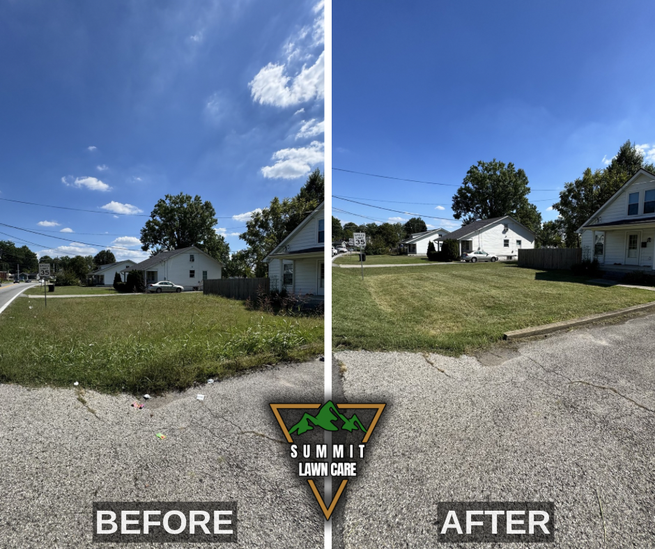 Before and After.png