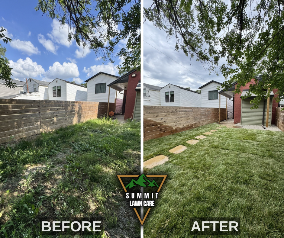 Before and After.png