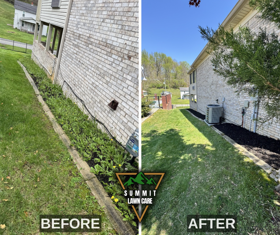 Before and After.png