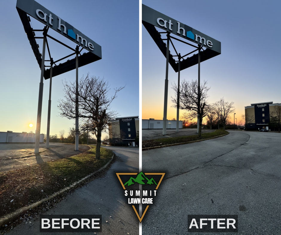 Before and After.png