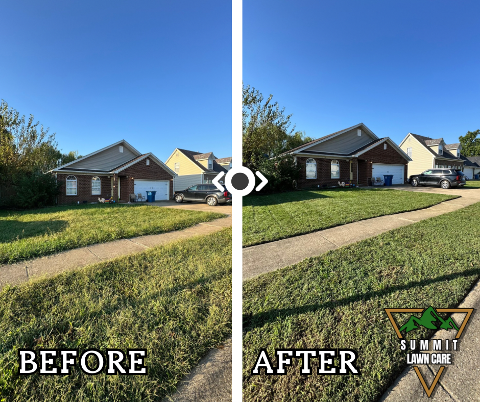 Copy of Simple Before and After LUT Slider Post Facebook Post.png