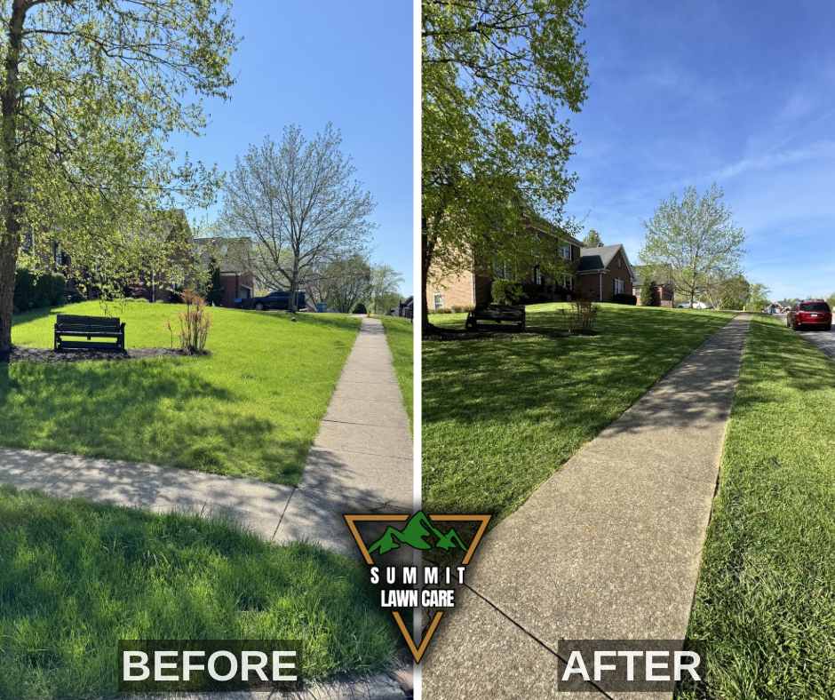 Before and After.png