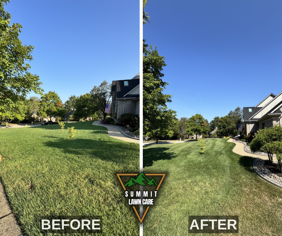 Before and After.png