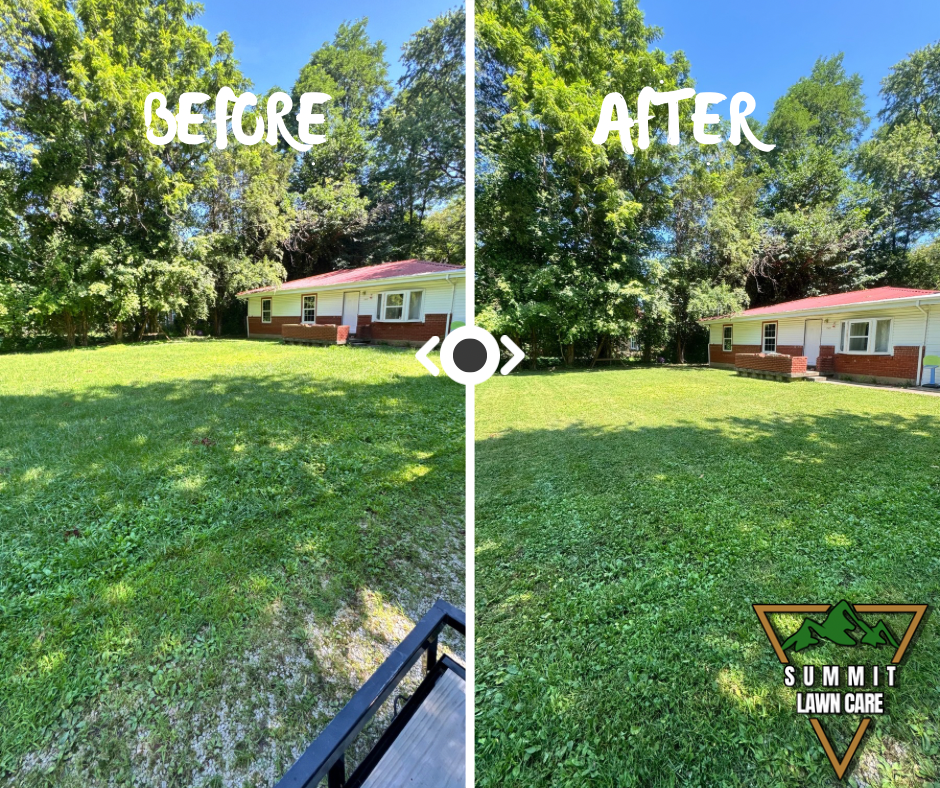 Simple Before and After LUT Slider Post Facebook Post.png