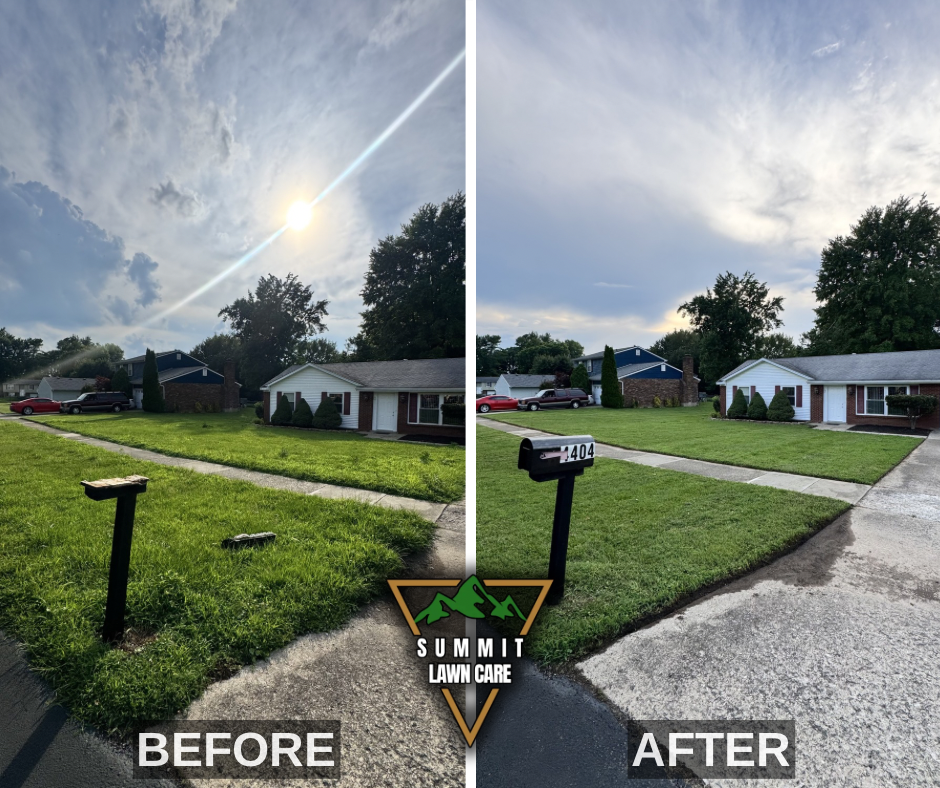 Before and After.png