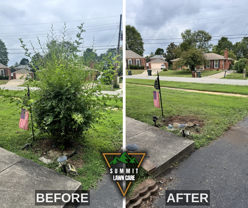 Before and After.png