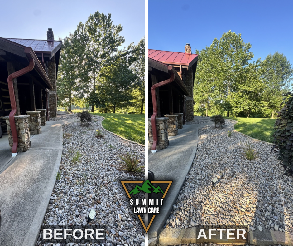 Before and After.png