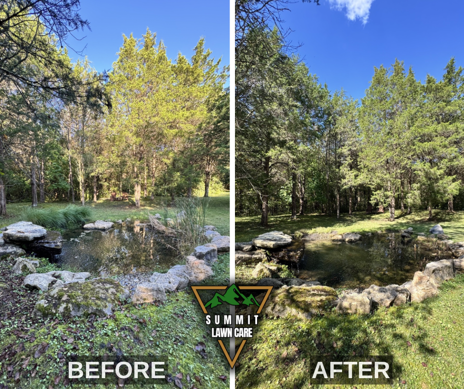 Before and After.png