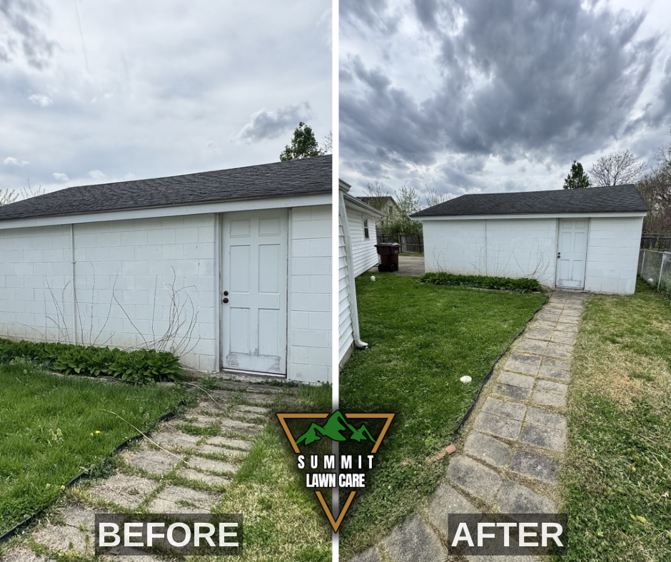 Before and After.png