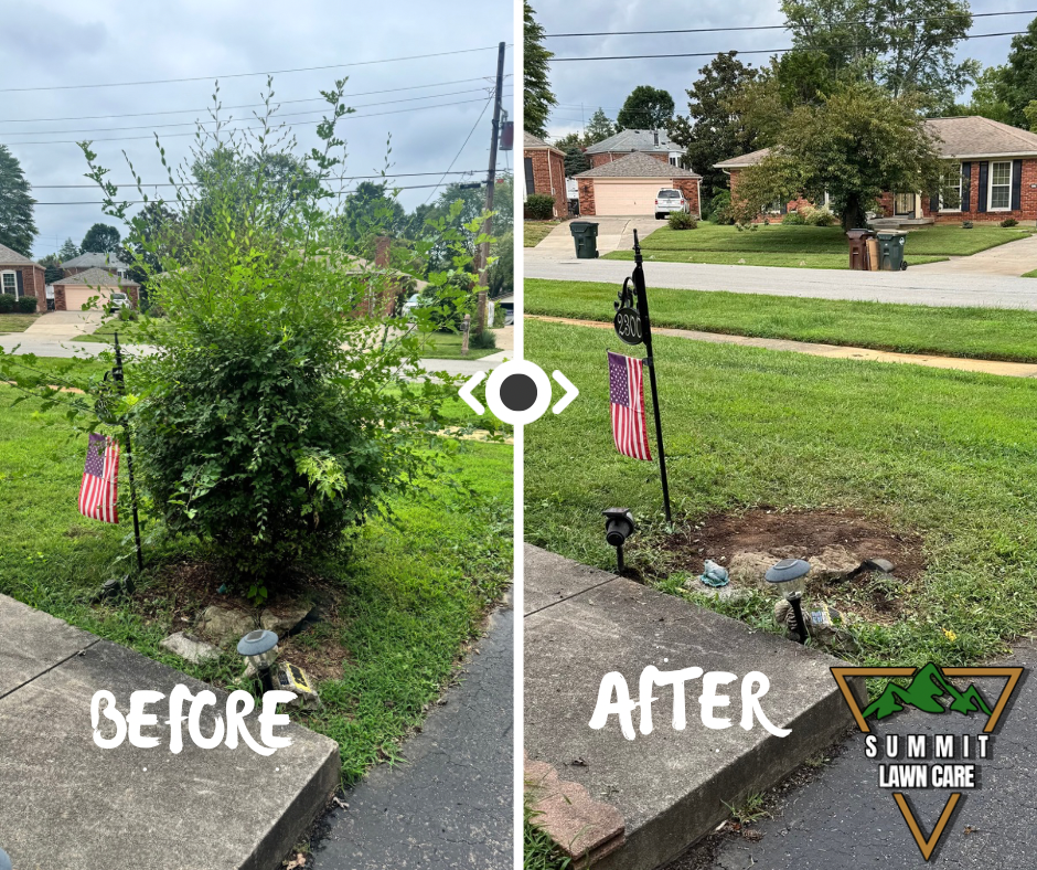 Copy of Simple Before and After LUT Slider Post Facebook Post.png