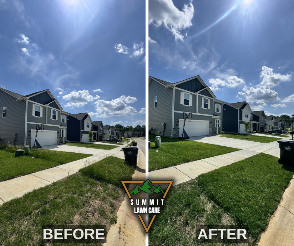 Before and After.png