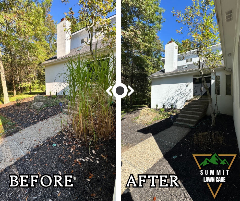 Copy of Simple Before and After LUT Slider Post Facebook Post.png